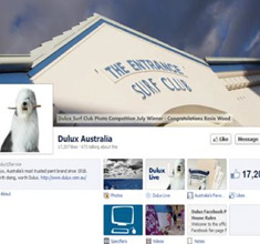 duluxweb
